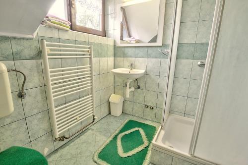 y baño pequeño con lavabo y ducha. en Country House Slemenšek, en Vojnik