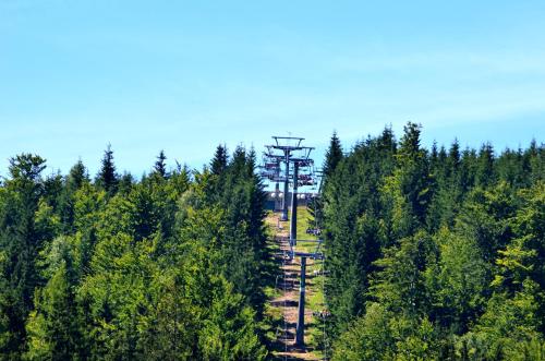 an electricity pole in the middle of a forest at Hotel Diana in Špindlerův Mlýn