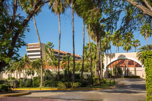 a row of palm trees in front of a building at Barceló Aruba - All Inclusive in Palm-Eagle Beach