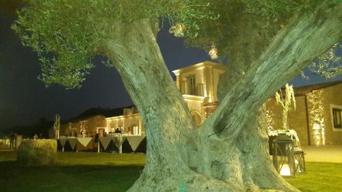 a tree in front of a house at night at Borgo Ginuga in Centuripe