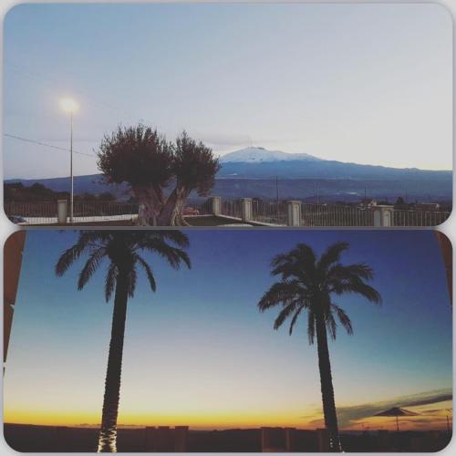 two photographs of a palm tree with the sky at Borgo Ginuga in Centuripe