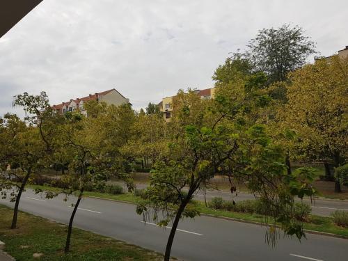 a street with trees on the side of a road at Apartment GEA 1 in Novi Sad