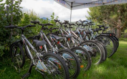 Una fila de bicicletas estacionadas una al lado de la otra. en Fit und Fun Sportherberge, en Kötschach-Mauthen