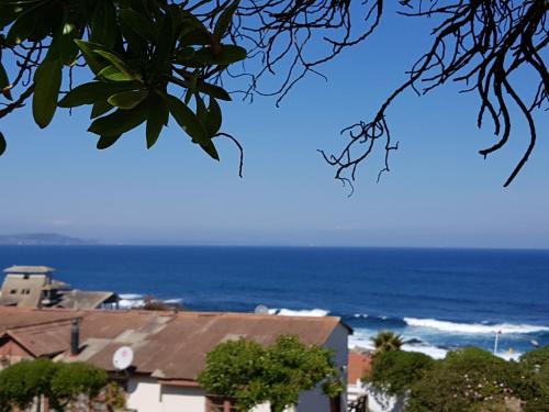 a view of the ocean from a tree at Cabañas Patio Esmeralda in El Tabo