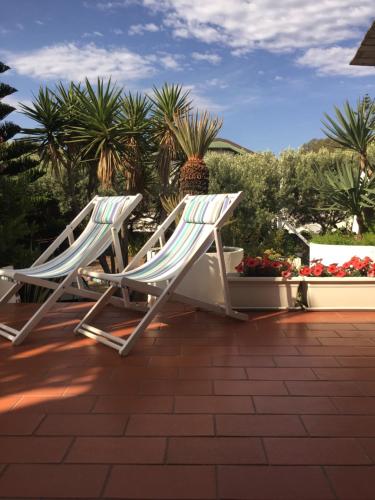 two lawn chairs sitting on a patio with palm trees at Villa Cetta B&B in San Leone