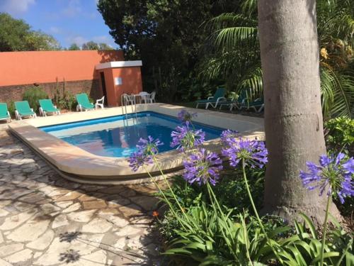 a swimming pool next to a tree with purple flowers at Green Hotel in Pilar