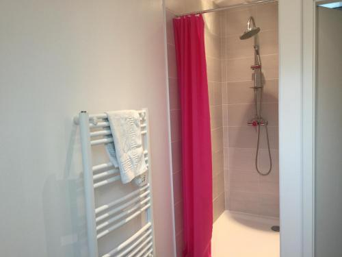 La salle de bains est pourvue d'une douche avec rideau de douche rose. dans l'établissement Marlibelle, à Valff