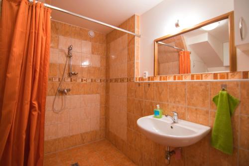une salle de bain avec un lavabo et une douche avec un miroir dans l'établissement Chaty Vrchlabí, à Vrchlabí