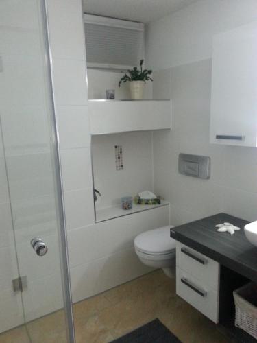 ein Bad mit einem WC und einem Waschbecken in der Unterkunft Ferienzimmer Familie Schmidt in Großdeuben