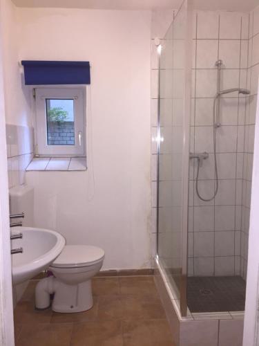 a bathroom with a shower and a toilet and a sink at Fiala Home in Neumünster