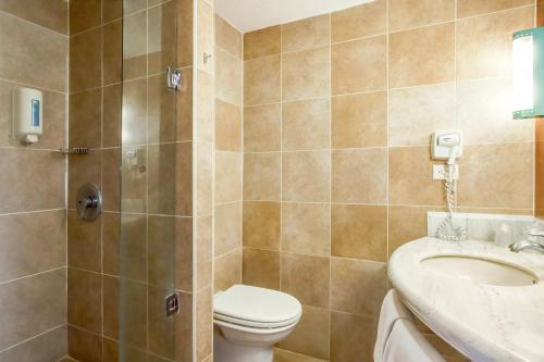 a bathroom with a toilet and a sink at Ibis Aguascalientes Norte in Aguascalientes