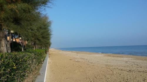 a sandy beach next to the ocean with trees at Vista Mare in Pineto