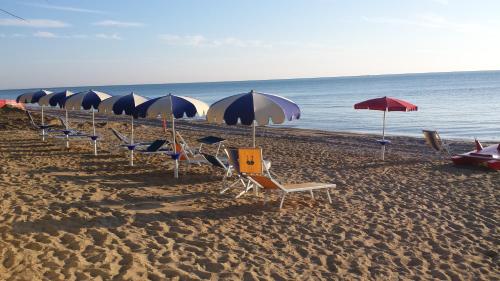 a row of chairs and umbrellas on a beach at Vista Mare in Pineto