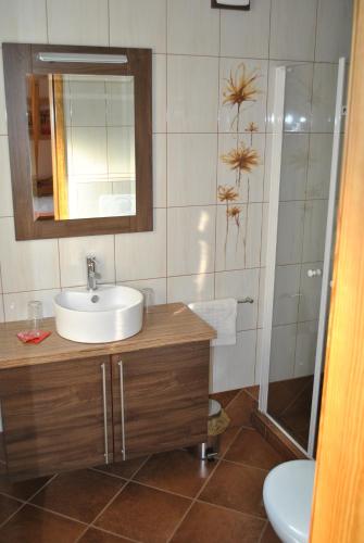 Salle de bains dans l'établissement Guest House Čater
