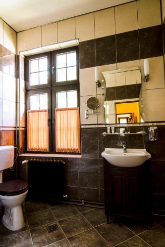 a bathroom with a sink and a toilet and a mirror at Iris Villa in Vatra Dornei