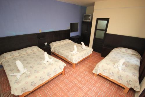 a room with three beds with white swans on them at Hotel San Martin in San Cristóbal de Las Casas