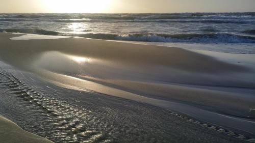 piaszczysta plaża z oceanem w obiekcie Jūrena w mieście Nida