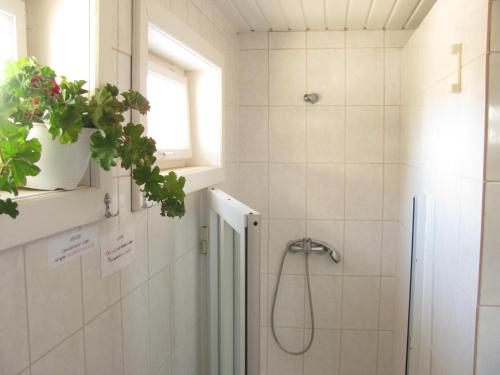 een witte badkamer met een douche en een raam bij Hostel White Inn in Costinesti