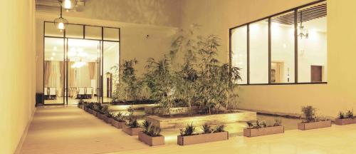 a room with a bunch of potted plants in a building at Dmall Hotel in Kigali