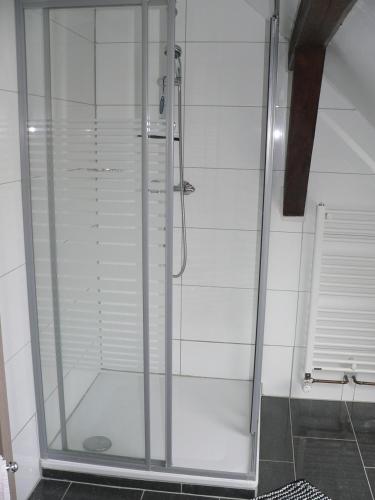 a shower with a glass door in a bathroom at Ferienhaus Zum grünen Holz in Zetel