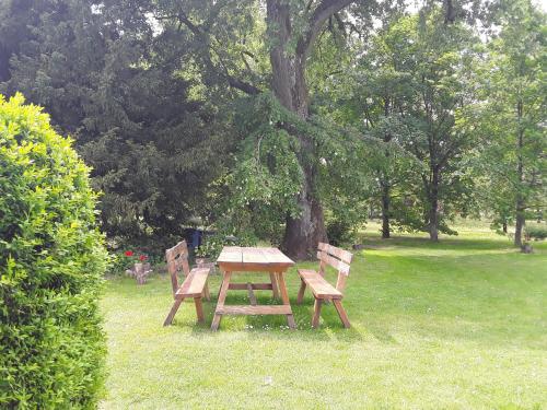 a picnic table and two benches in a park at Igmándy kúria in Nagybajom