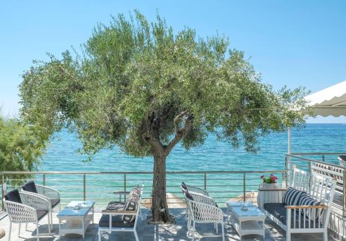 a group of chairs and a tree next to the water at Acrotel Athena Villa in Elia