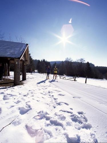 Haus zur Sonne Sauerland durante el invierno