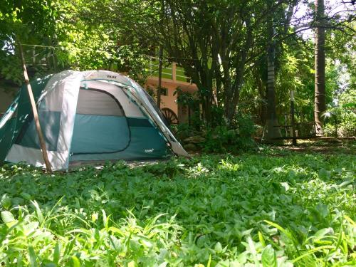 a tent in the middle of a field of plants at Yaxche Centro Hostal y Camping in Bacalar