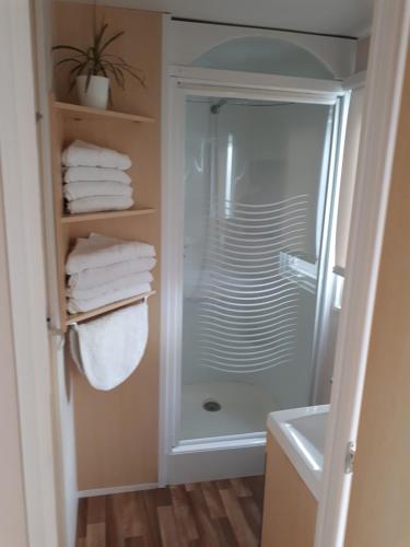 a bathroom with a shower with towels on a shelf at Mobil home in El Palmar