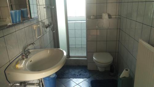 a bathroom with a sink and a toilet at Ferienhaus Raiter Südsteiermark in Weitersfeld an der Mur