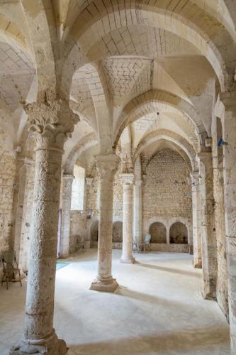 an empty room with columns and ceilings in a castle at Demeure des Vieux Bains in Provins