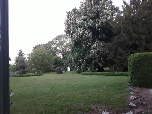 a large green field with trees and bushes at Igmándy kúria in Nagybajom