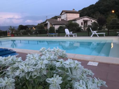 CrocemaroggiaにあるB&B La Torrettaの白い花のスイミングプール