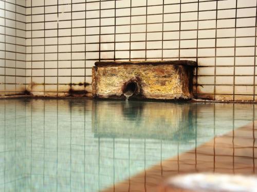 Swimming pool sa o malapit sa Pension Raisin