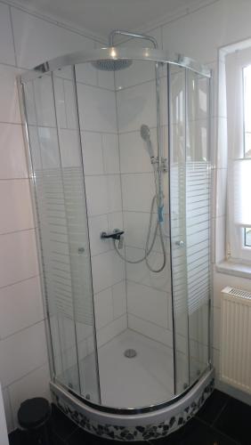 a shower with a glass enclosure in a bathroom at Pension Hofmann in Volkholz
