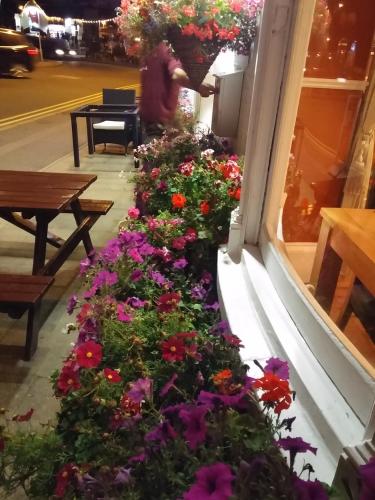 a window display of flowers in a store at Waterfront Hotel in Deal