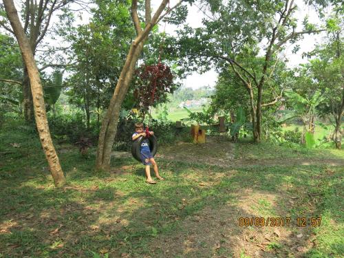 a young boy standing in a field with a tree at Salak Sunrise Homestead in Bogor
