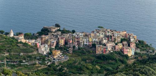 un grande gruppo di case su una collina vicino all'oceano di Madüneta 5 Terre a Corniglia