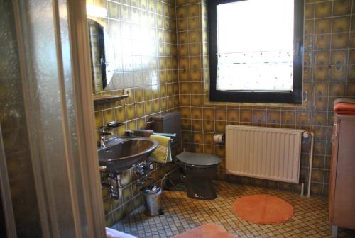 ein Bad mit einem Waschbecken, einem WC und einem Fenster in der Unterkunft Ferienwohnungen Haus Else in Willingen