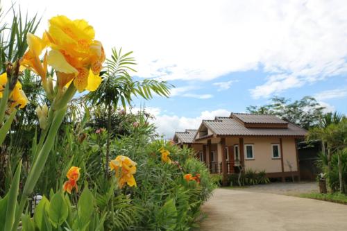 Zahrada ubytování Ouidee Resort