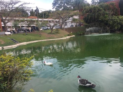 Hotel Lago Azul – Photos 5