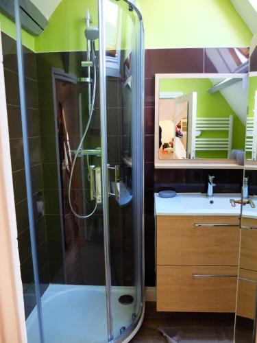 une salle de bain avec douche et lavabo dans l'établissement Chez Titi, à Bayeux