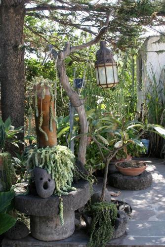 a garden with a lamp and a tree and plants at La Lampara in Stromboli