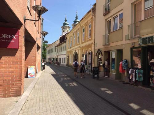 a street with buildings and people walking down the street at Szent János Vendégház in Eger