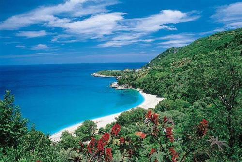 a view of a beach with blue water and trees at House of Gardenia in Makrirrákhi