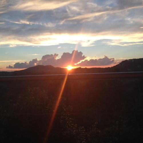 a sunset in a field with the sun setting at Gästeapartement Schlossblick in Kapfenstein