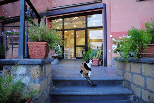 Gallery image of Hotel Tuscania Panoramico in Tuscania