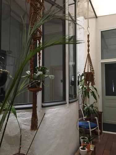 a room with plants on the side of a house at Liberté in Marseille