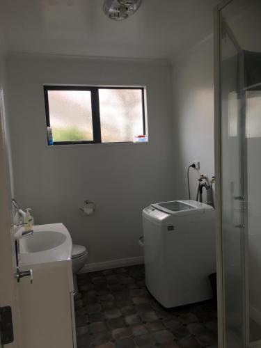 a bathroom with a sink and a toilet and a window at Amberlea Cottages in Hokitika