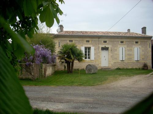 a stone house with a palm tree in front of it at Sous les Marronniers in Petit-Palais-et-Cornemps